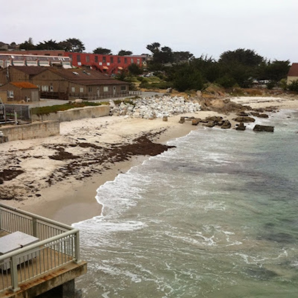 Meet your Posher, Anupama - Picture 1 of 1